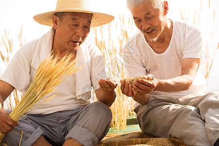 两位老农民拿着麦穗图片