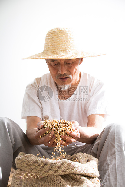 捧着麦子的老农民图片