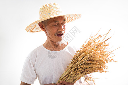 水稻成熟农民拿着成熟的稻穗背景