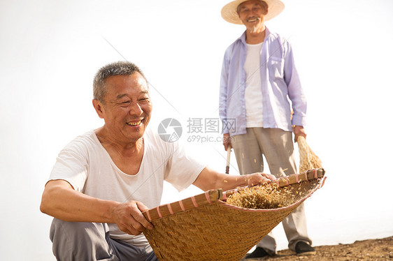 两位老农民拿着麦穗图片