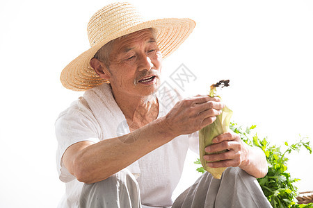 农业老农民拿着玉米图片