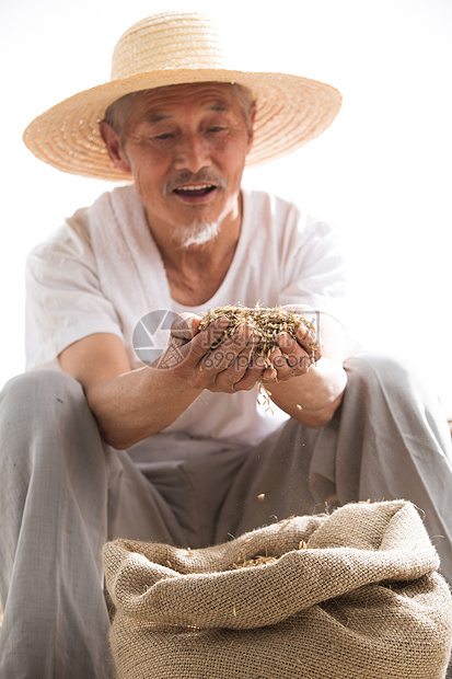 捧着麦子的老农民图片