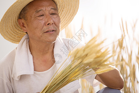 老农民在麦田里图片