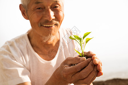 老农民手捧小苗图片