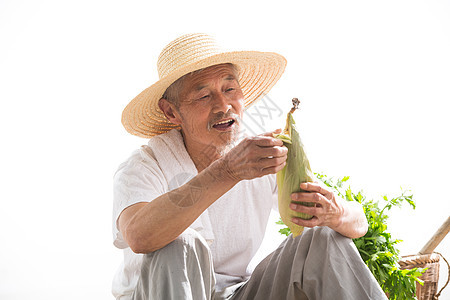 成熟的粮食老农民拿着玉米图片