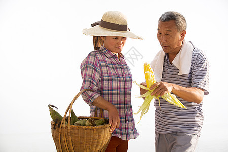 中年人农民拿着玉米图片
