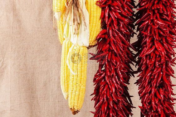 玉米和辣椒图片