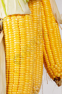 营养收获食物玉米图片