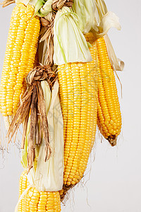 无人亚洲背景分离玉米图片