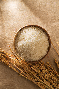 大米生米图片