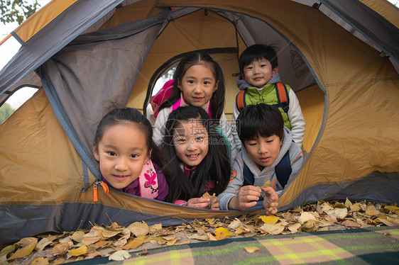 小学生在户外露营图片