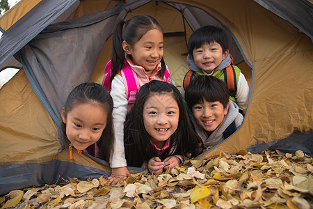 小学生在户外露营图片