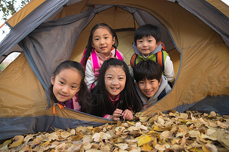 小学生在户外露营图片