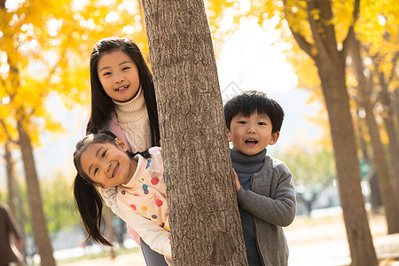 站在树上的女孩儿童休闲活动东方人欢乐的男孩女孩在户外玩耍背景