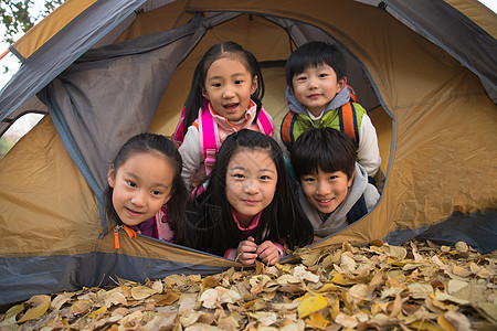 小学生在户外露营图片