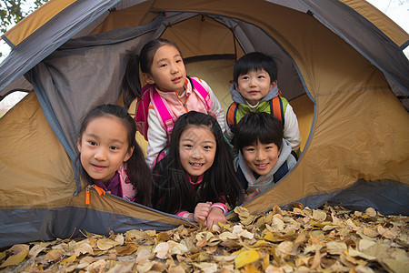 小学生在户外露营图片