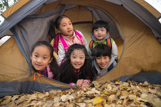 小学生在户外露营图片