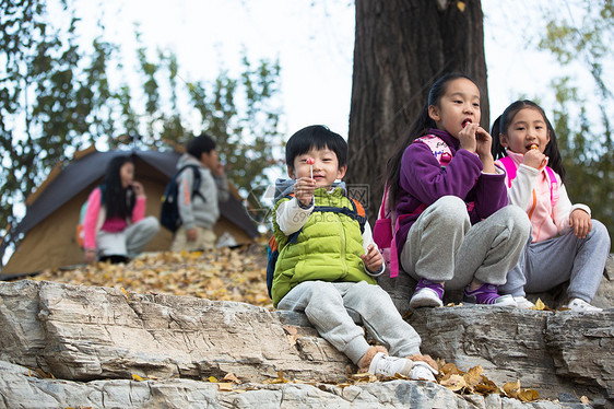 活力度假棒棒糖可爱的男孩女孩在户外玩耍图片