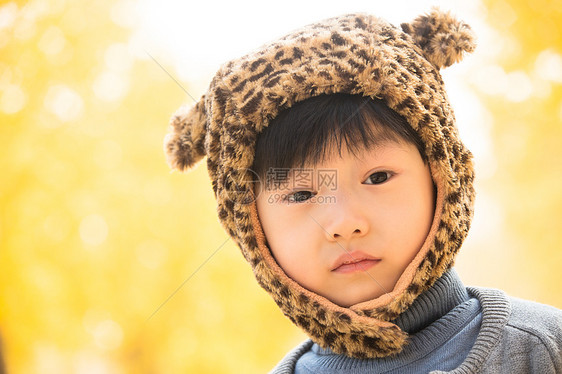 乐趣秋游动物形象小男孩在户外玩耍图片