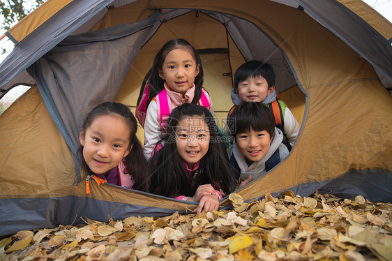 小学生在户外露营图片