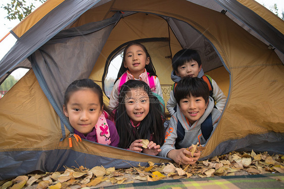 小学生在户外露营图片