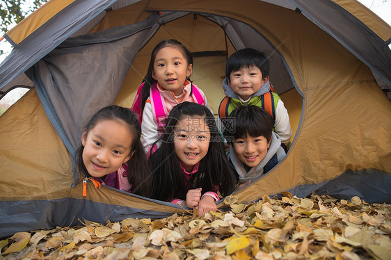 小学生在户外露营图片