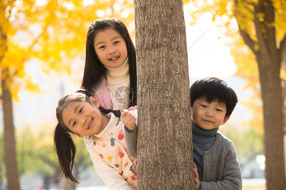 清新秋游高兴的欢乐的男孩女孩在户外玩耍图片