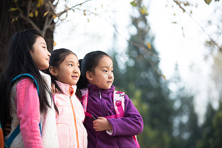 成长爱好儿童小学生在户外玩耍图片