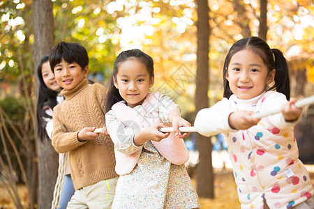 挑战团结度假小学生在拔河比赛图片