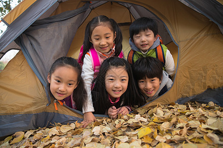 小学生在户外露营图片