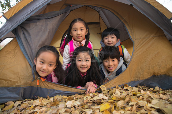 小学生在户外露营图片