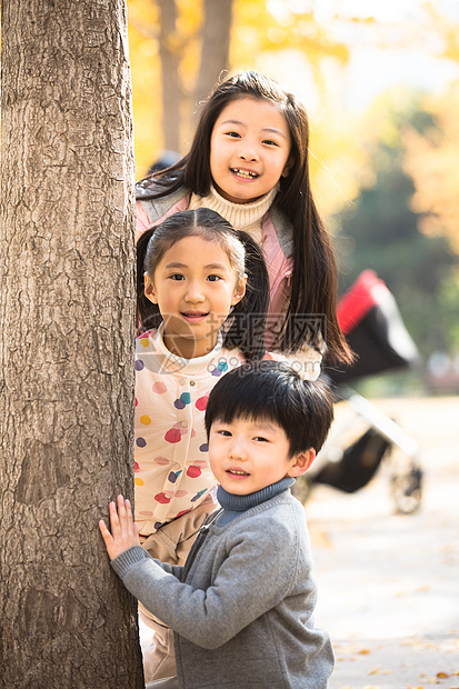 兄弟树干童年欢乐的男孩女孩在户外玩耍图片