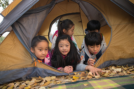 小学生在户外露营图片