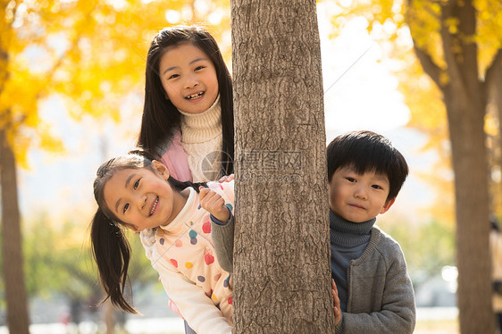 清新活力树林欢乐的男孩女孩在户外玩耍图片