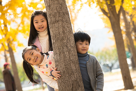 站在树上的女孩放松健康的成长欢乐的男孩女孩在户外玩耍背景