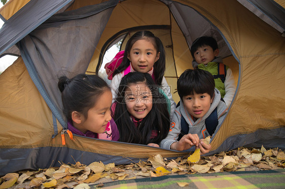 小学生在户外露营图片