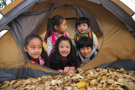 小学生在户外露营图片