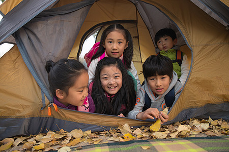 小学生在户外露营图片