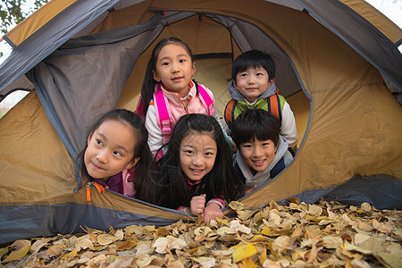 小学生在户外露营图片