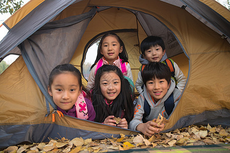 小学生在户外露营图片