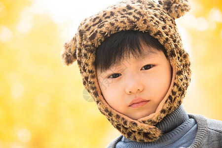 宠物服装园林摄影小男孩在户外玩耍图片