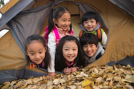 小学生在户外露营图片