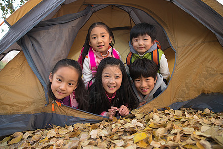 小学生在户外露营图片