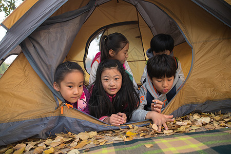 小学生在户外露营图片