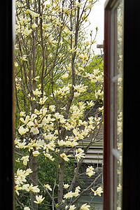 风景北京窗户图片