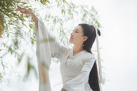 古典式侠女水平构图古装美女图片