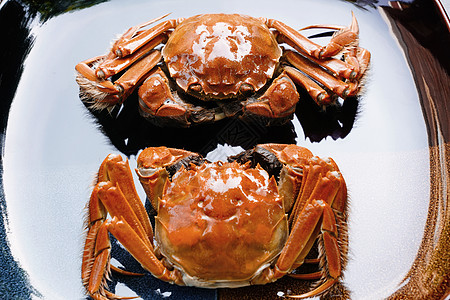 海鲜摄影食物状态摄影影棚拍摄螃蟹背景