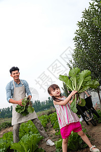 温馨家园亚洲人人东方三口之家采摘蔬菜图片
