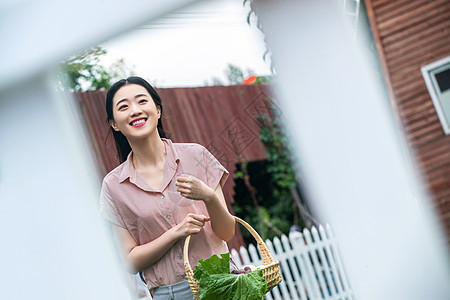 梨周末活动蔬菜东方女青年农庄采摘图片