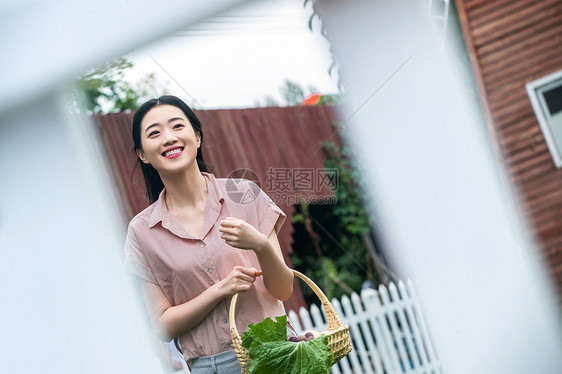 梨周末活动蔬菜东方女青年农庄采摘图片